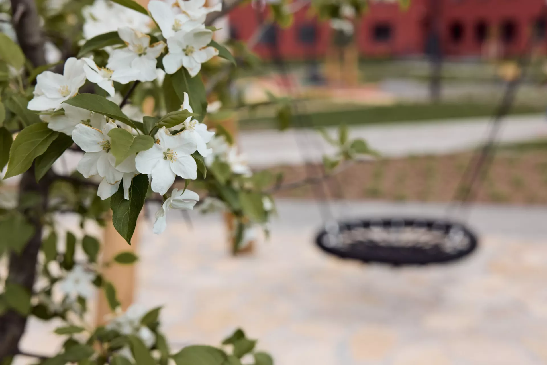 Во 2, 3 и 4 секциях четвёртого дома и пятом доме:

– идёт передача квартир.

Фотография загружена 15 января 2025 года.